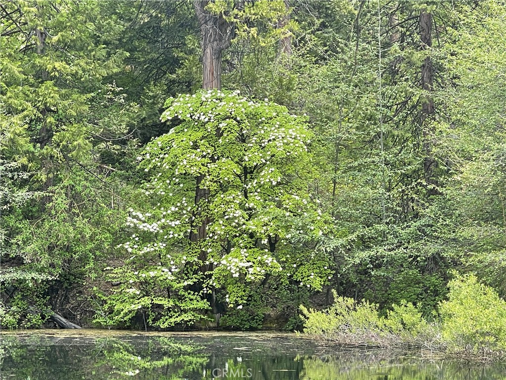 5657 Worman Rd, Ahwahnee, CA 95338