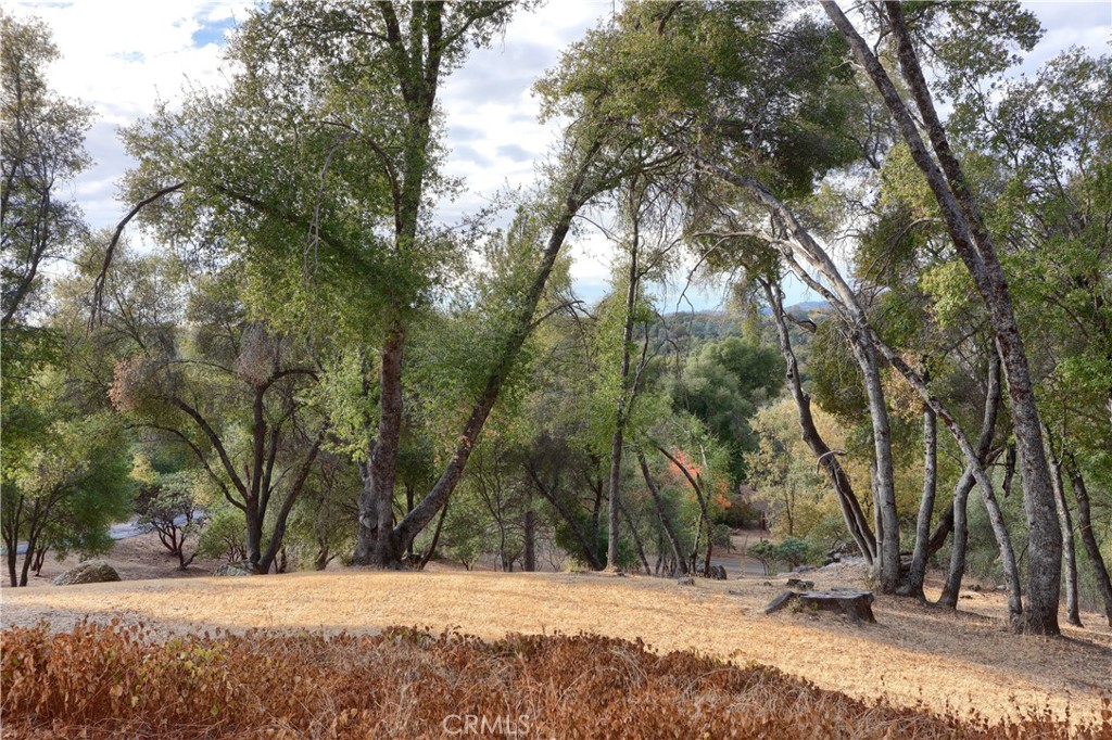 3692 Manzanita Rd, Mariposa, CA 95338