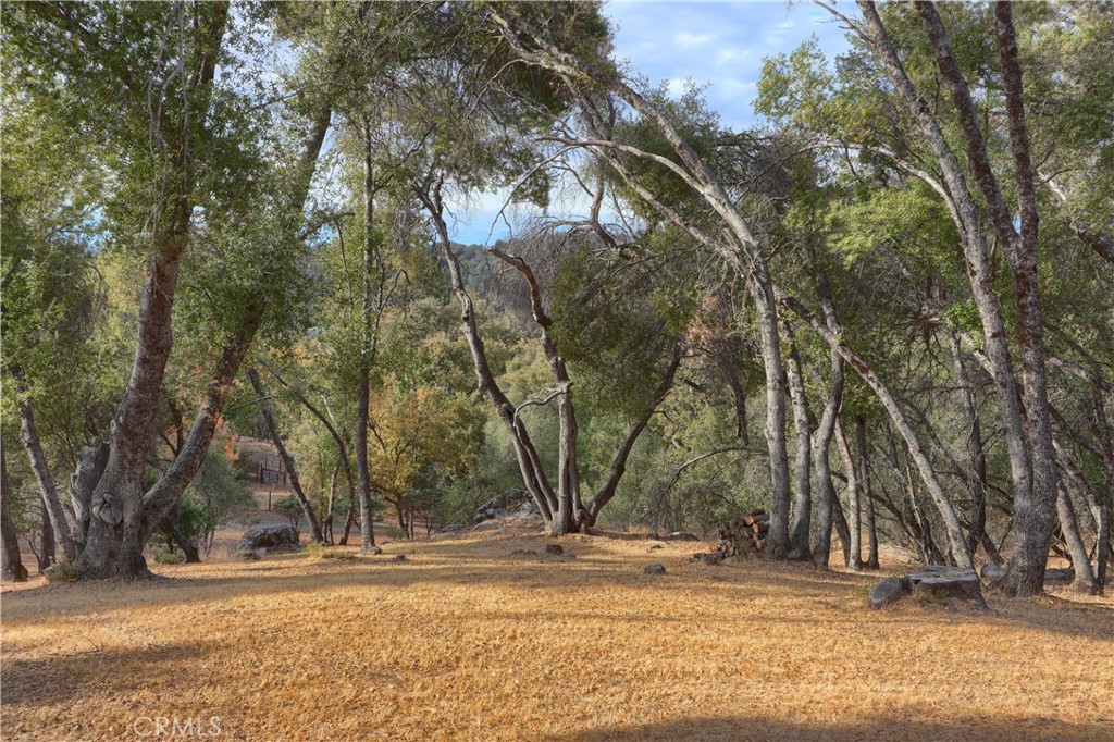 3692 Manzanita Rd, Mariposa, CA 95338