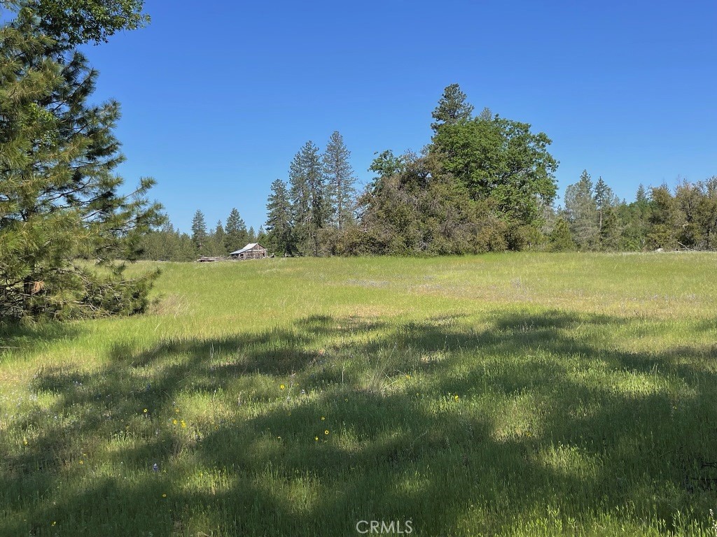 2964 Triangle Rd, Mariposa, CA 95338
