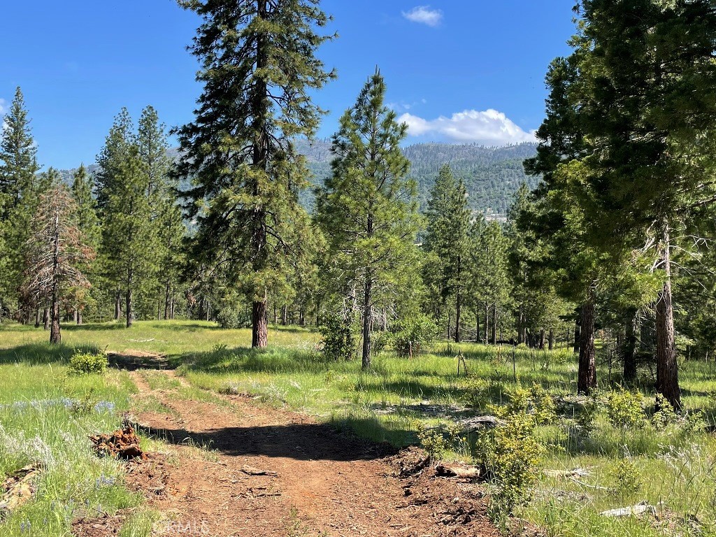 2964 Triangle Rd, Mariposa, CA 95338