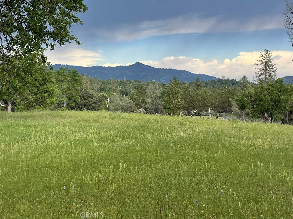 2964 Triangle Rd, Mariposa, CA 95338