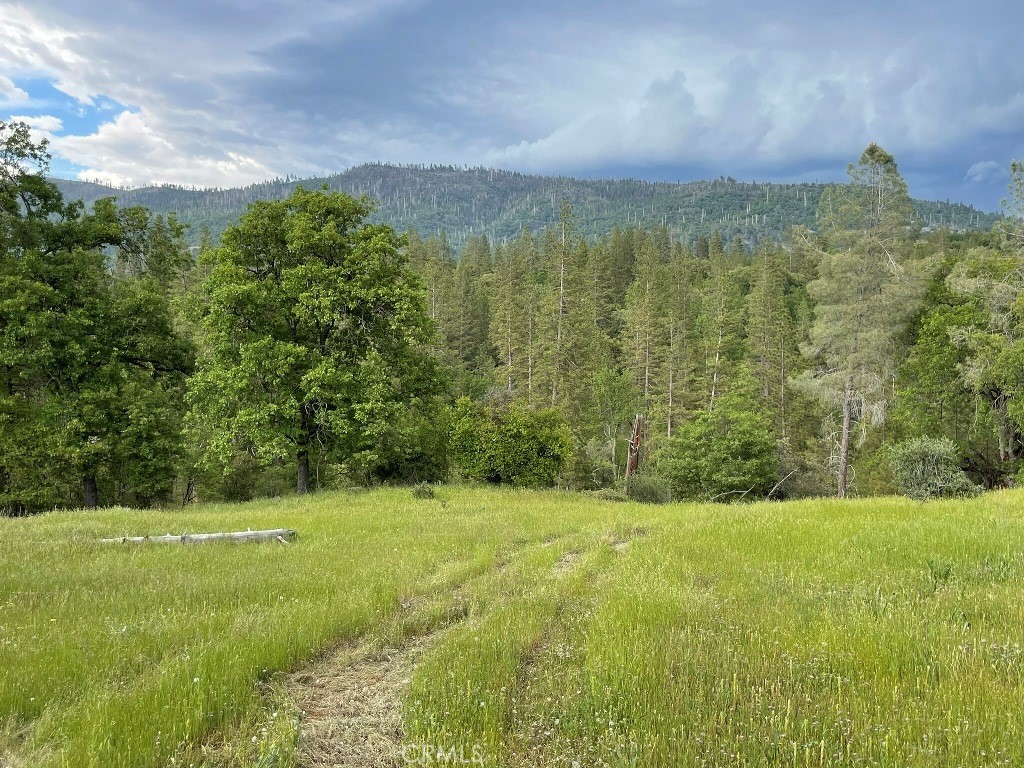 2964 Triangle Rd, Mariposa, CA 95338