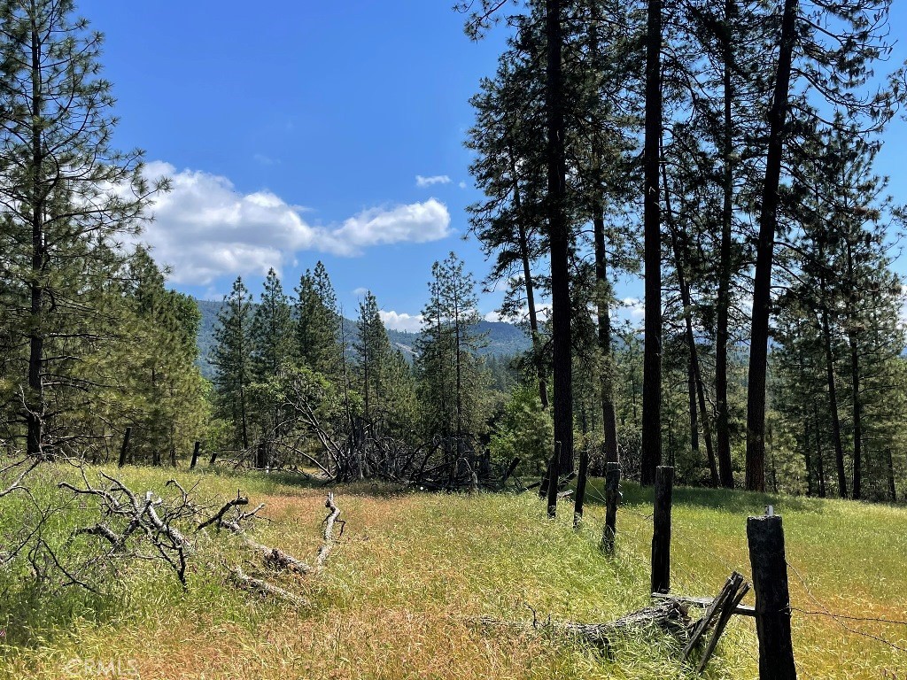 2964 Triangle Rd, Mariposa, CA 95338