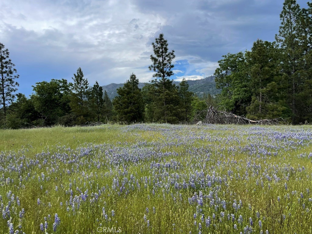 2964 Triangle Rd, Mariposa, CA 95338