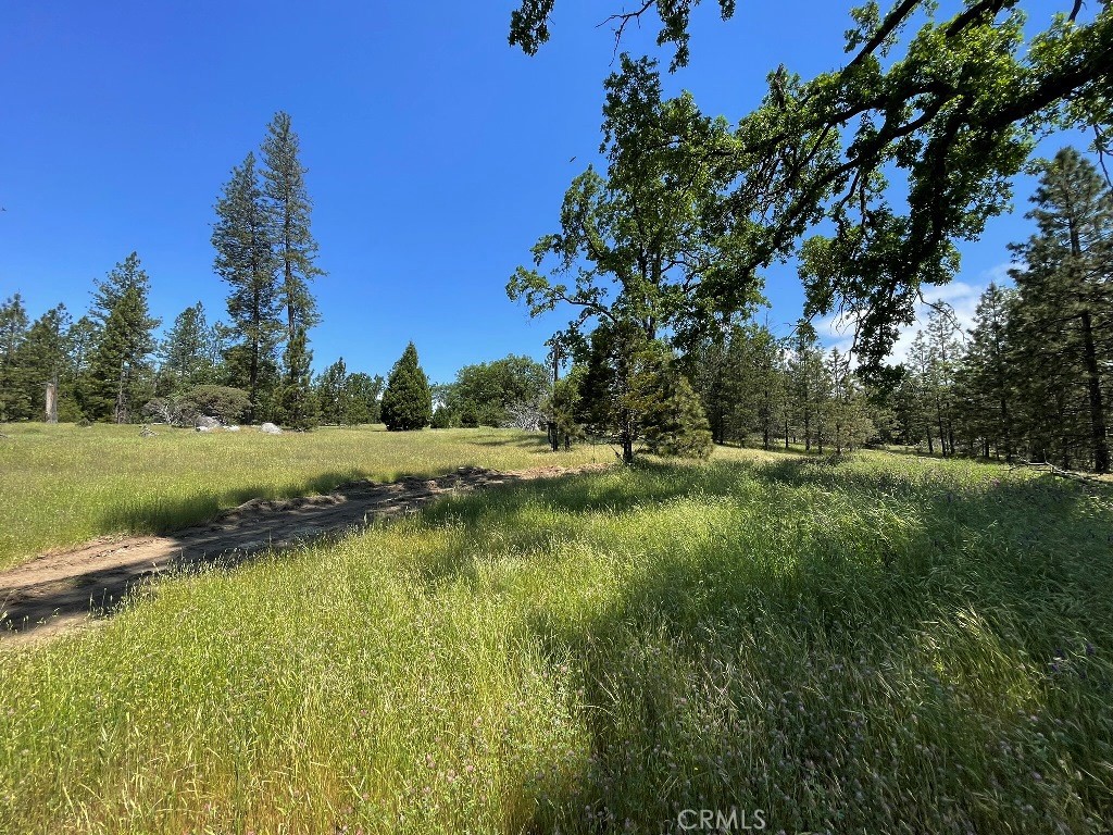 2964 Triangle Rd, Mariposa, CA 95338