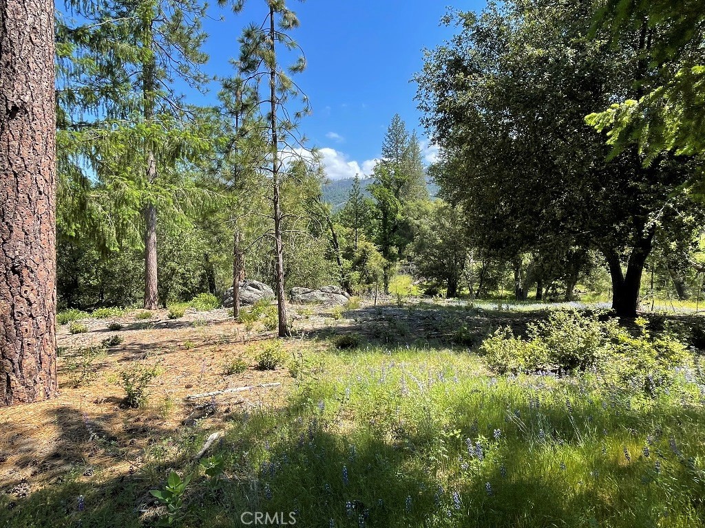 2964 Triangle Rd, Mariposa, CA 95338
