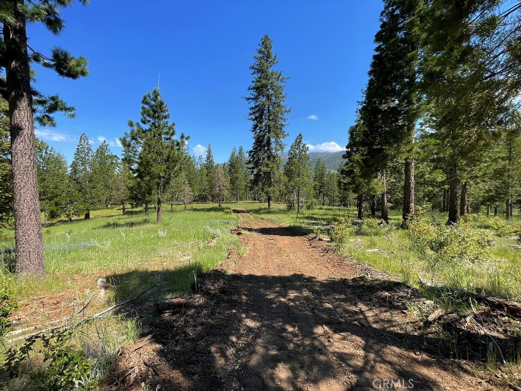 2964 Triangle Rd, Mariposa, CA 95338