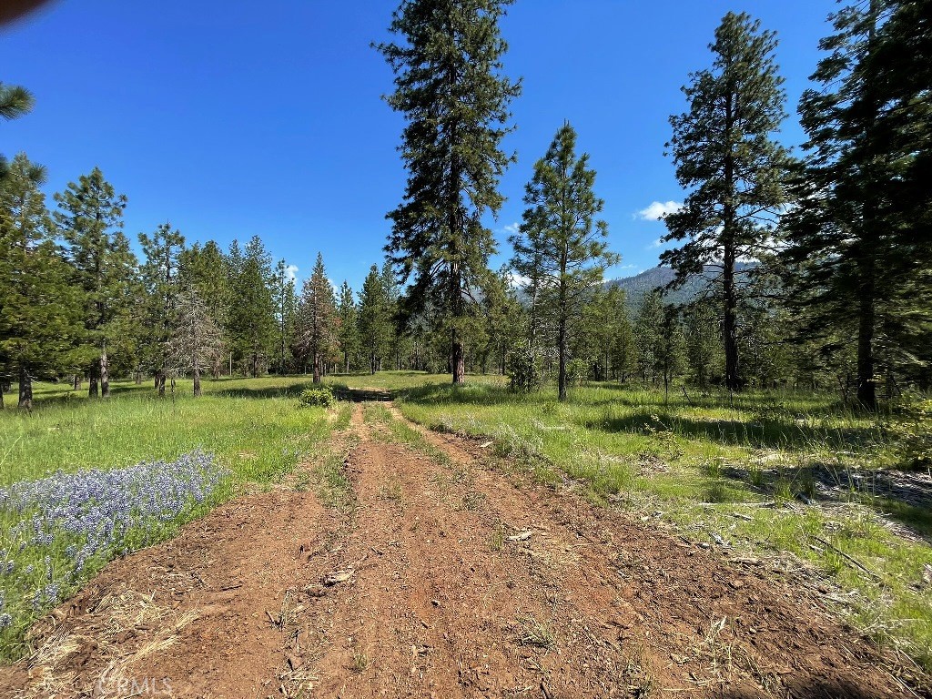 2964 Triangle Rd, Mariposa, CA 95338