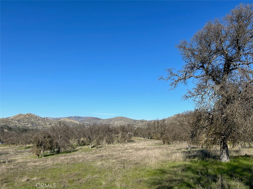 5 Acres - El Toro Rd, Catheys Valley, CA 95306