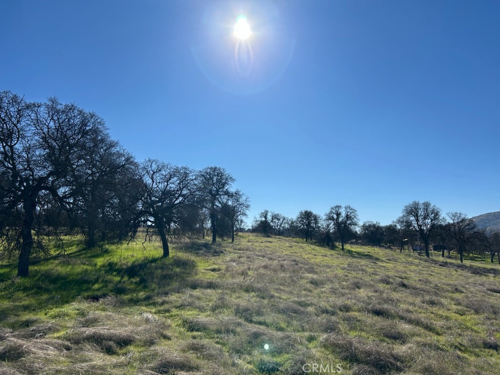 5 Acres - El Toro Rd, Catheys Valley, CA 95306