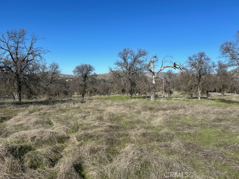 5 Acres - El Toro Rd, Catheys Valley, CA 95306