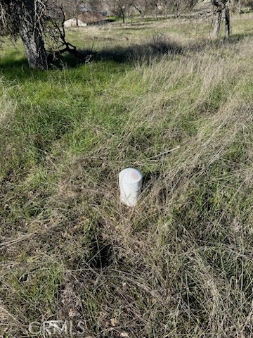 5 Acres - El Toro Rd, Catheys Valley, CA 95306