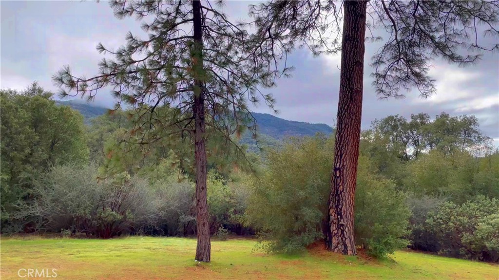 2116 S 49 Hwy, Mariposa, CA 95338