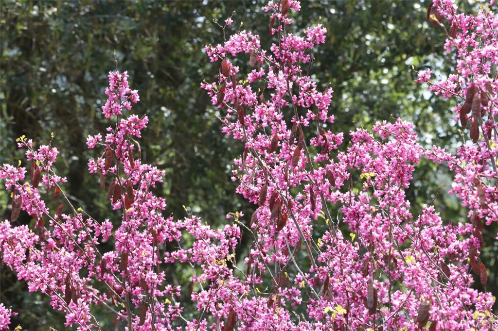 3729 Ben Hur Rd, Mariposa, CA 95338