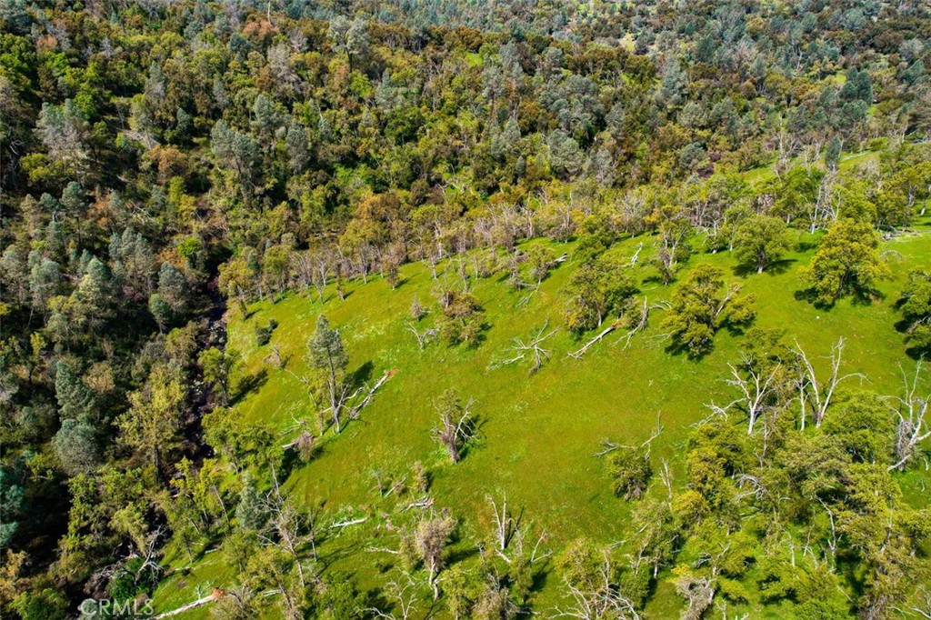 3729 Ben Hur Rd, Mariposa, CA 95338