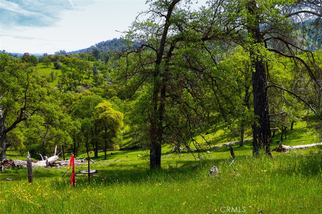 3729 Ben Hur Rd, Mariposa, CA 95338