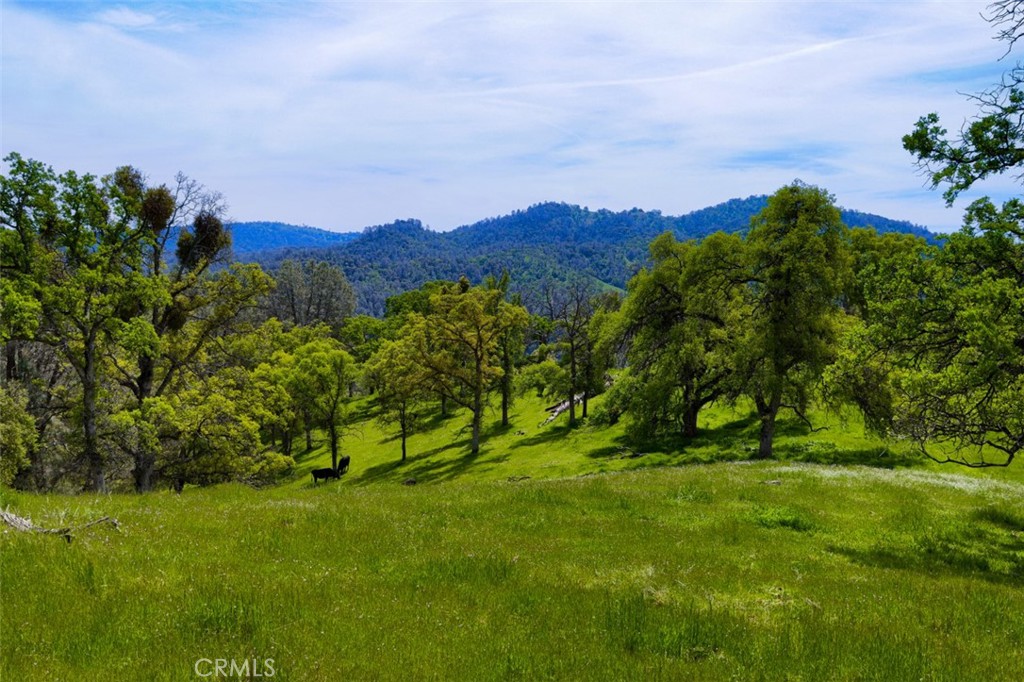 3729 Ben Hur Rd, Mariposa, CA 95338