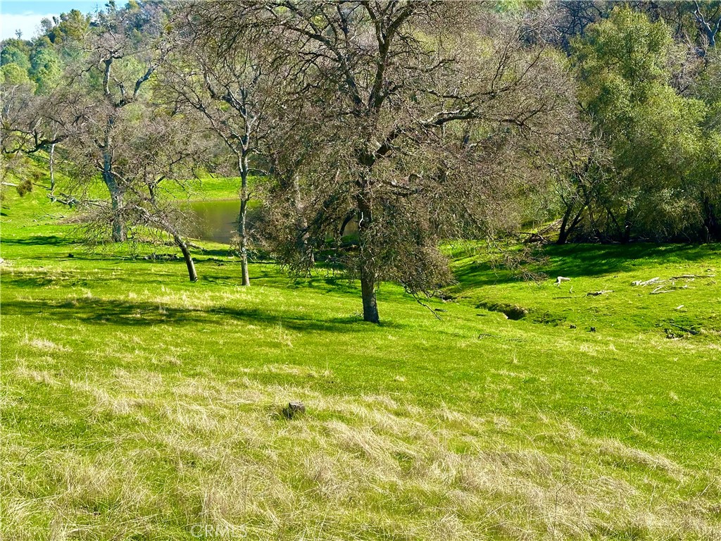 3729 Ben Hur Rd, Mariposa, CA 95338