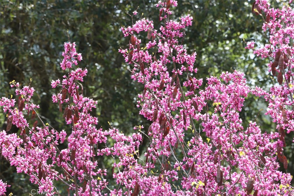 3729 Ben Hur Rd, Mariposa, CA 95338