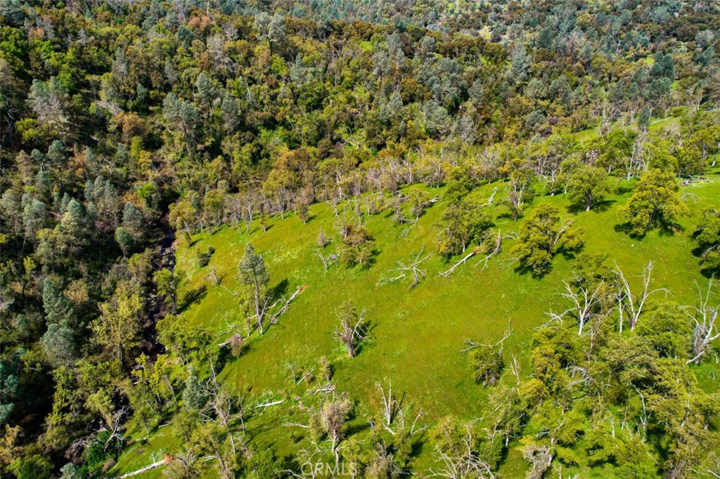 3729 Ben Hur Rd, Mariposa, CA 95338