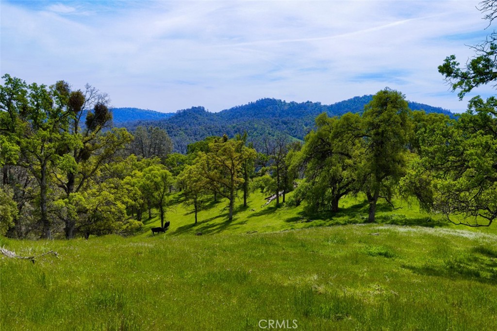 3729 Ben Hur Rd, Mariposa, CA 95338
