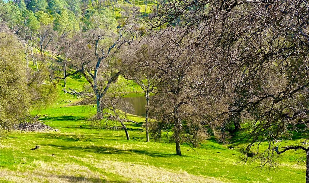 3729 Ben Hur Rd, Mariposa, CA 95338