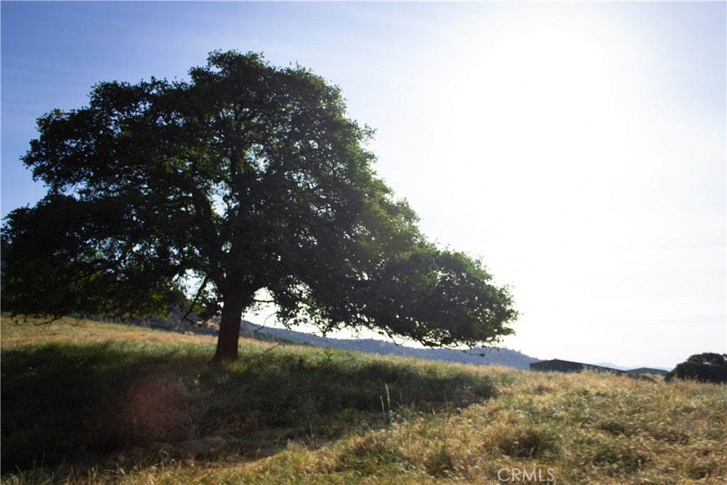 5015 Macready Way, Mariposa, CA 95338