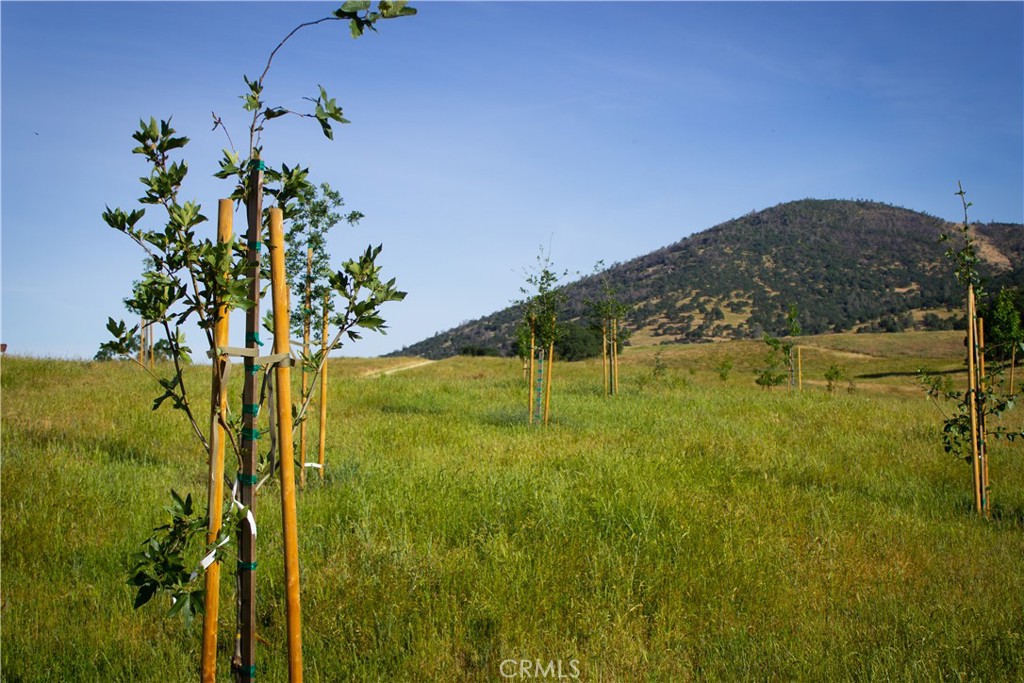 5015 Macready Way, Mariposa, CA 95338