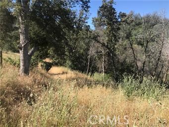 4521 Alamo Creek Rd, Mariposa, CA 95338
