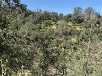 4521 Alamo Creek Rd, Mariposa, CA 95338