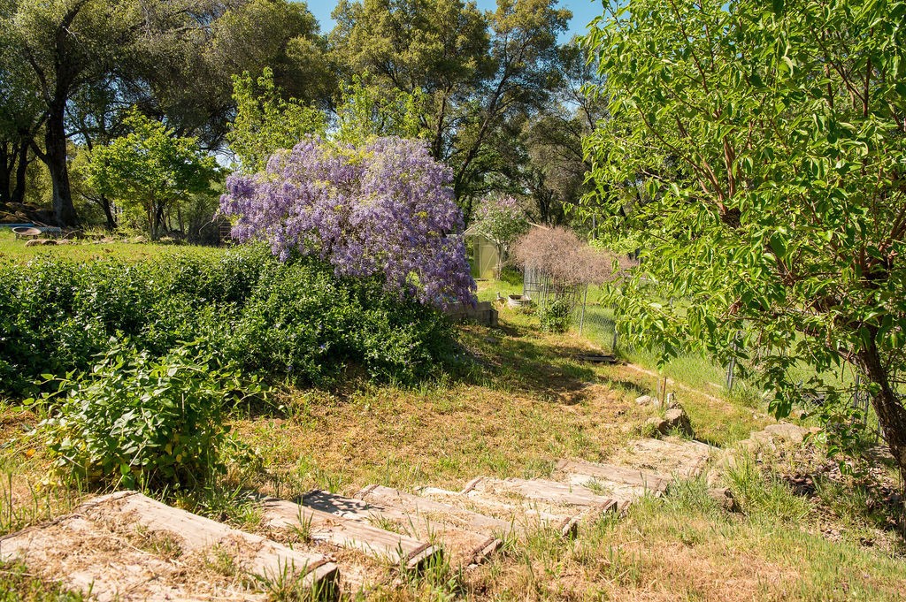 5085 Boyer Rd, Mariposa, CA 95338