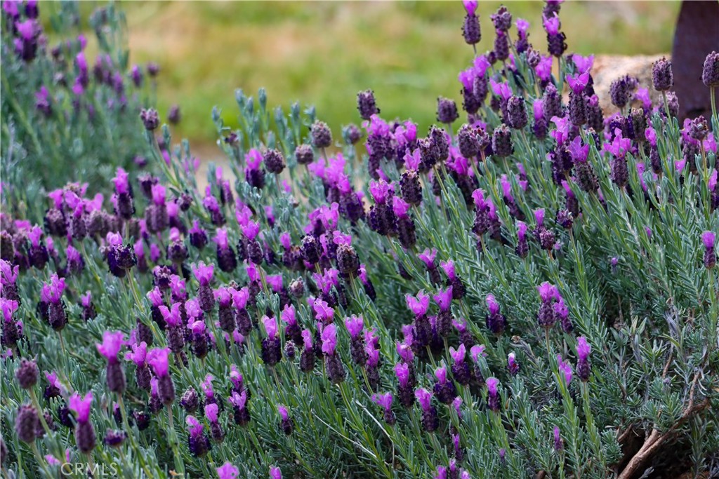 7072 Cranes Nest Rd, Mariposa, CA 95338