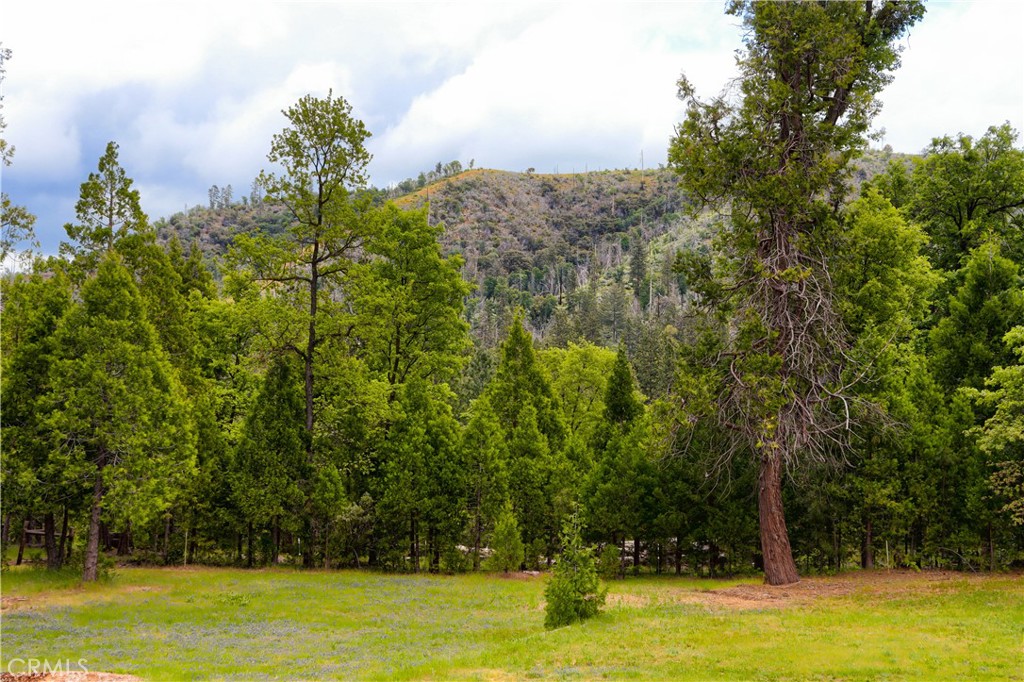 7072 Cranes Nest Rd, Mariposa, CA 95338