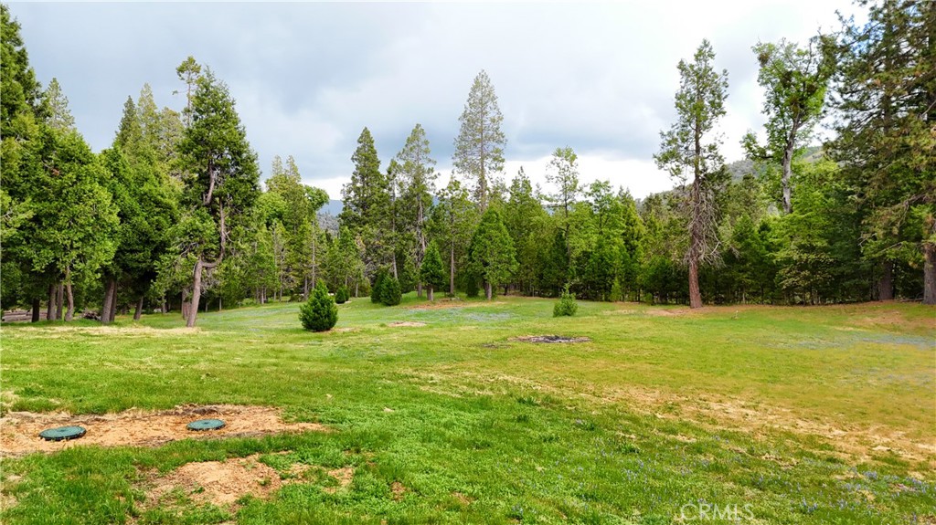 7072 Cranes Nest Rd, Mariposa, CA 95338