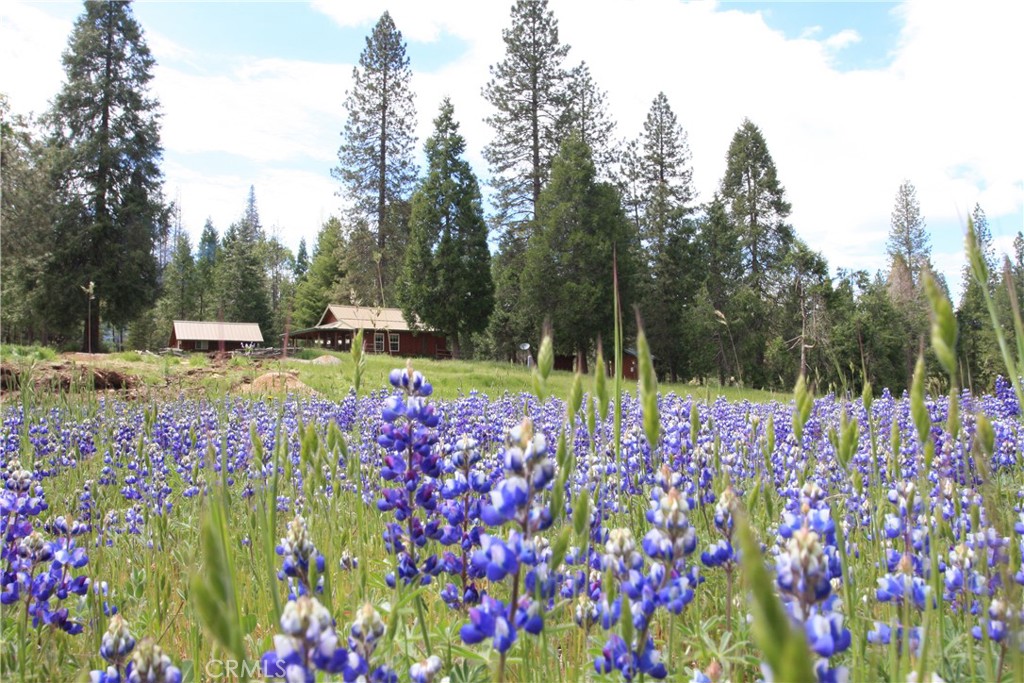 7072 Cranes Nest Rd, Mariposa, CA 95338