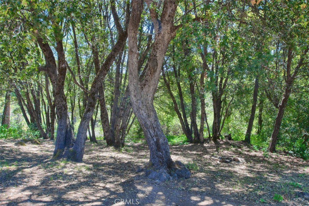 2843 E Westfall Rd, Mariposa, CA 95338