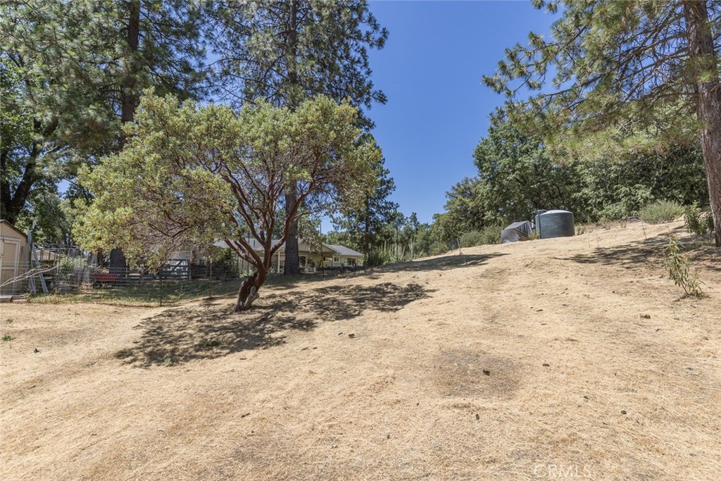 45315 Forest Ridge Dr, Ahwahnee, CA 93601