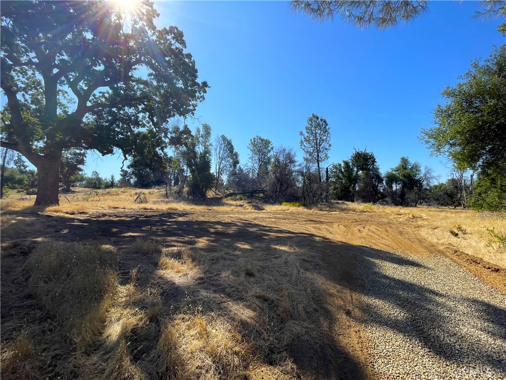 705 Triangle Rd, Mariposa, CA 95338