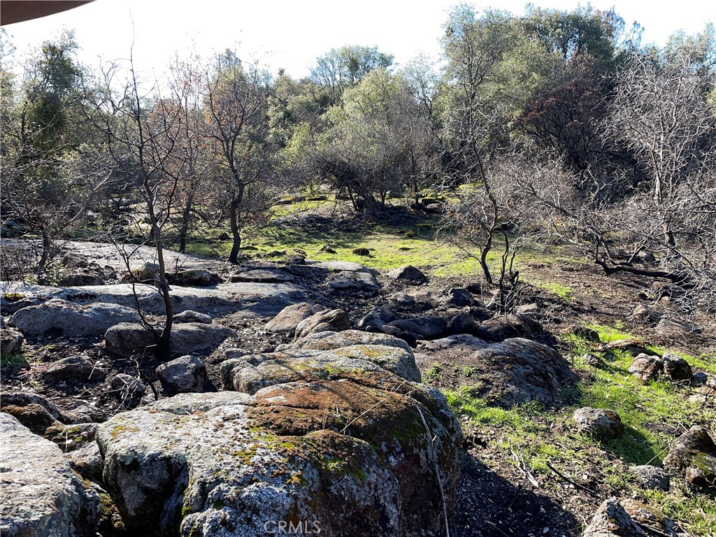 705 Triangle Rd, Mariposa, CA 95338