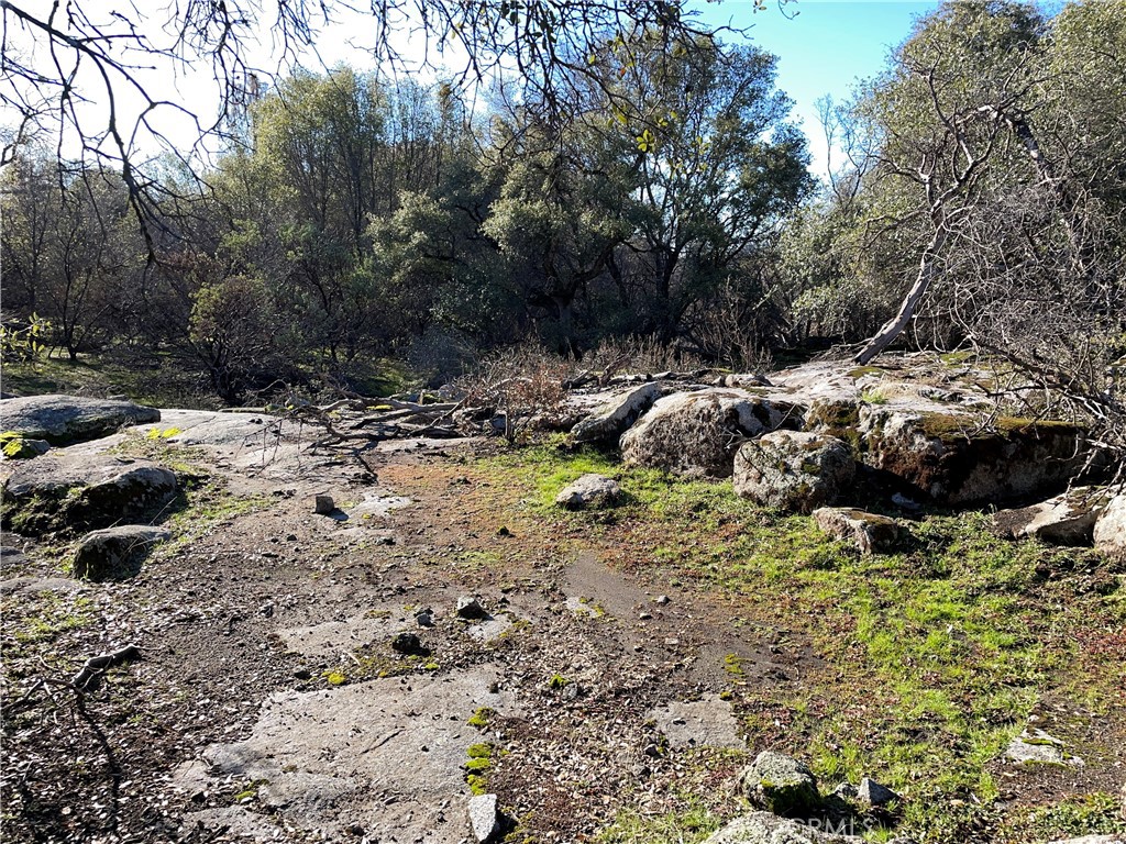 705 Triangle Rd, Mariposa, CA 95338