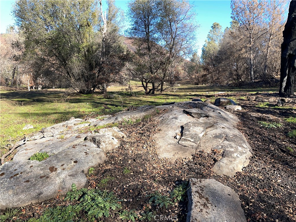 705 Triangle Rd, Mariposa, CA 95338