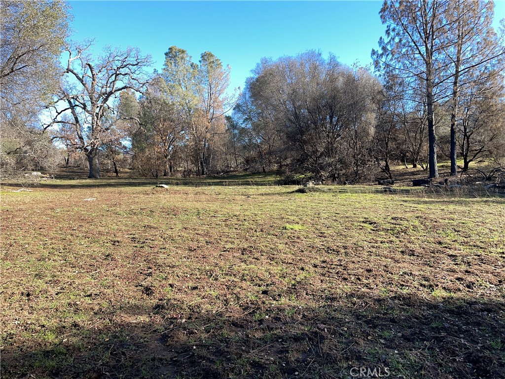 705 Triangle Rd, Mariposa, CA 95338