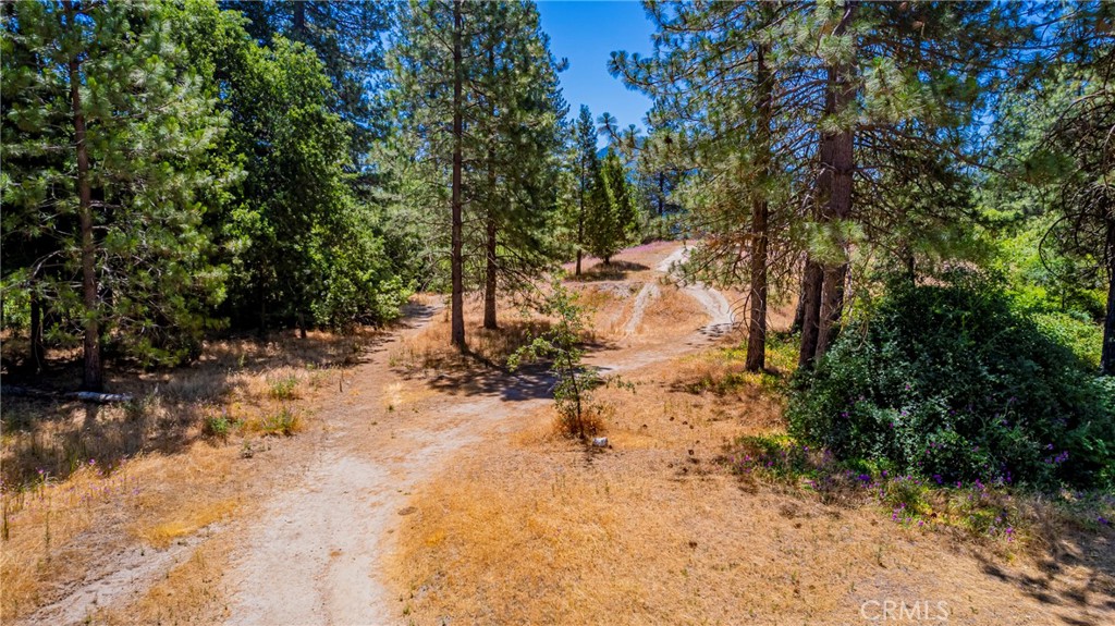40333 Road 222 #102, Bass Lake, CA 93604