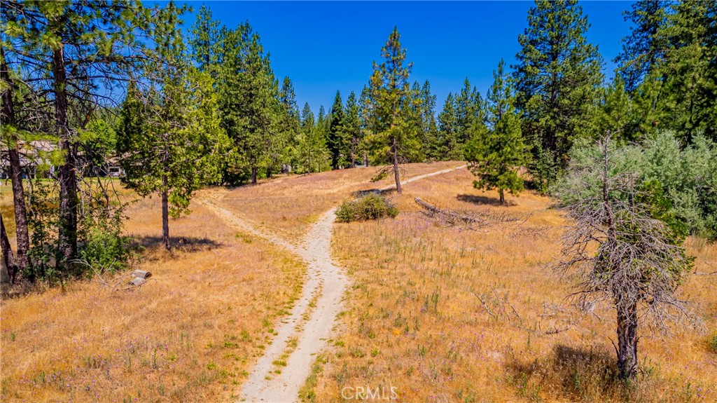 40333 Road 222 #102, Bass Lake, CA 93604