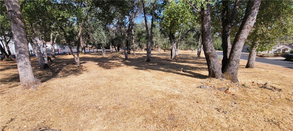 5277 Farfalla Cir, Mariposa, CA 95338