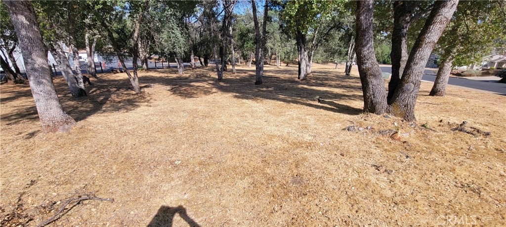 5277 Farfalla Cir, Mariposa, CA 95338