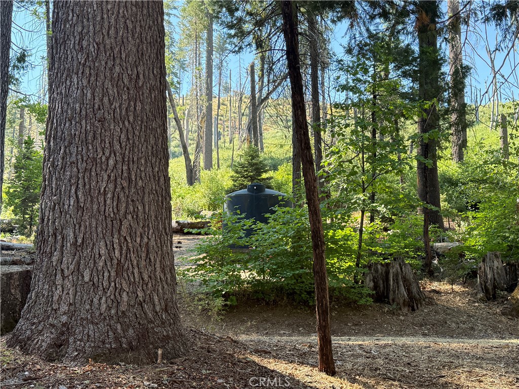 3502 Comet Mine, Mariposa, CA 95338