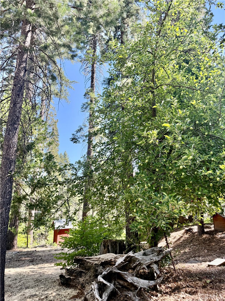 3502 Comet Mine, Mariposa, CA 95338