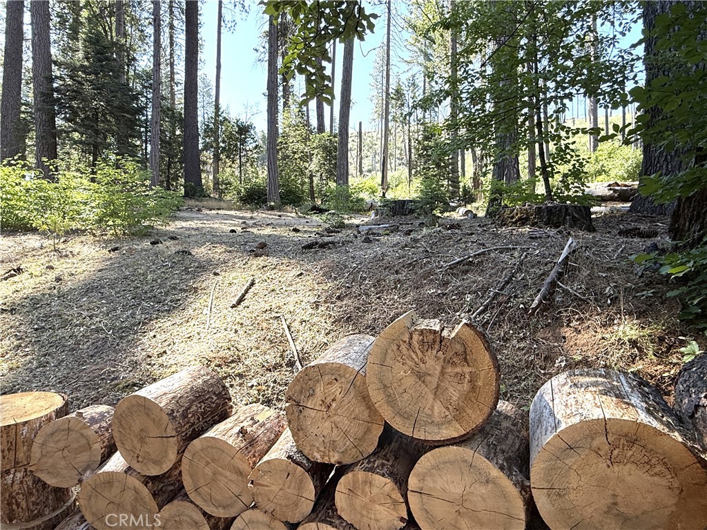 3502 Comet Mine, Mariposa, CA 95338